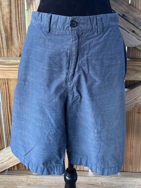 Tommy Hilfiger Blue Shorts Size 34